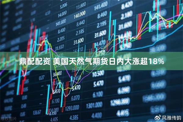 鼎配配资 美国天然气期货日内大涨超18%